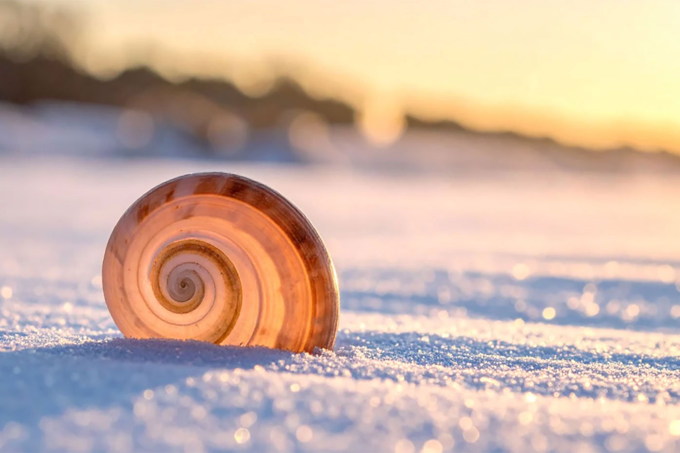 Simbolo di benessere e ripartenza con la Nutrizione Dolce a Roma.