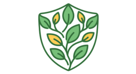 Rafforzare il sistema immunitario attraverso un percorso nutrizionale a Roma.